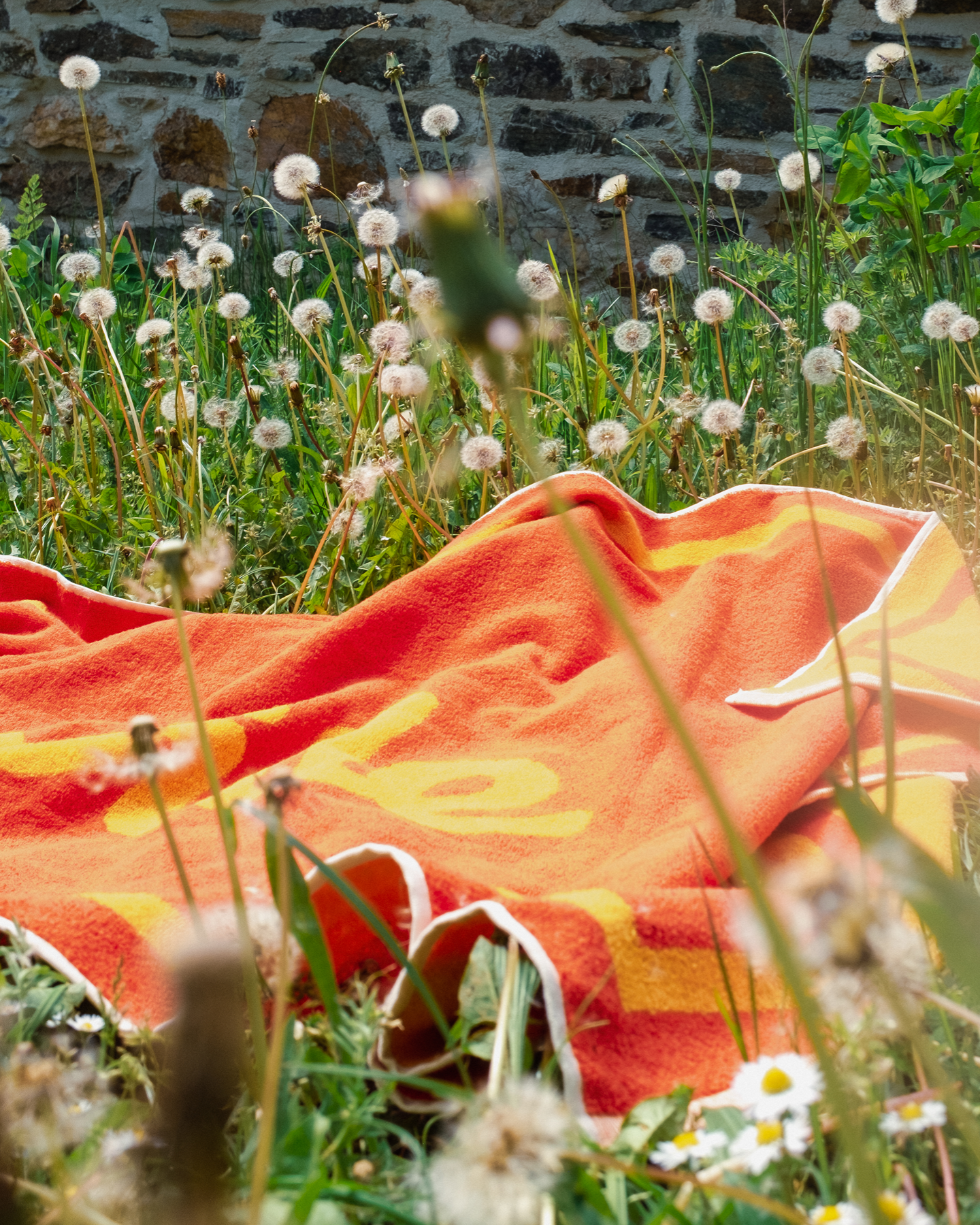 SOMMAR-ERBJUDANDE! Cineville-abonnemang – 6 månader + Exklusivt badlakan!
